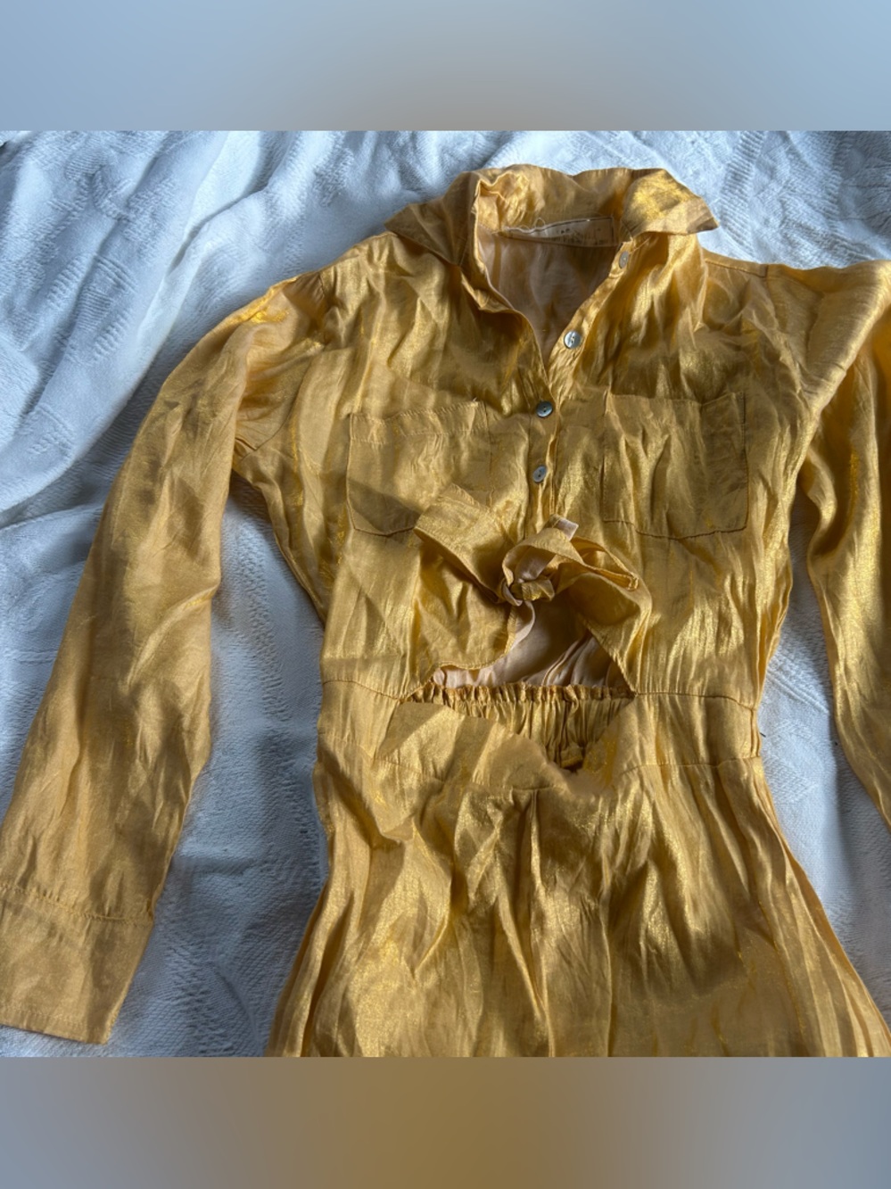 Jen’s Pirate Booty sheer jumpsuit. Size XS